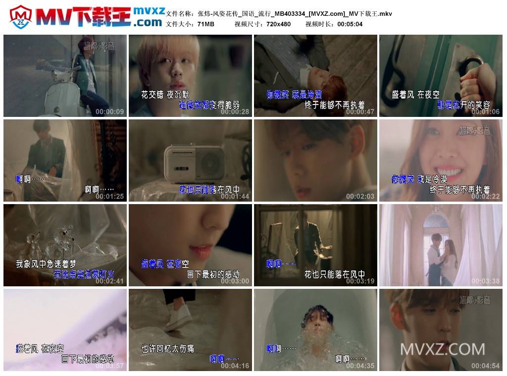 张炜-风姿花传_国语_流行_MB403334